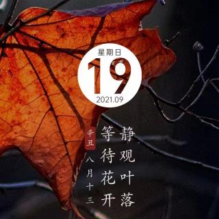 喀纳斯早安心语9.19