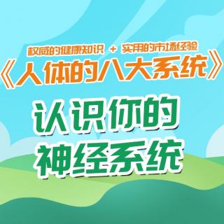 《人体的八大系统》认识你的神经系统