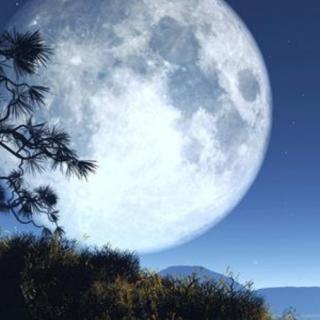 《中秋，我约了月亮》文蓝色月光-张玉阁