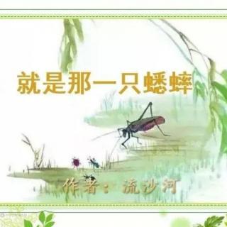 《就是那一只蟋蟀》作者：流沙河/朗诵：晴朗