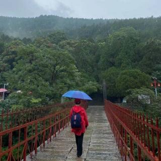 姜兰《今夜，有雨敲窗》诵读 秋薇