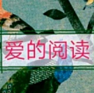 爱的阅读343天《人生匆匆，何不释怀！》