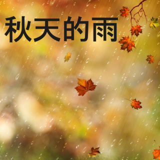 秋天的雨