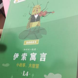 铁斧头和金斧头