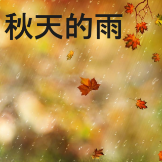 秋天的雨