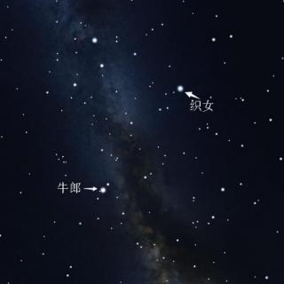 卧看牵牛织女星