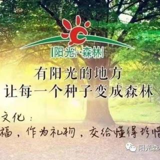 减肥策略1_你为什么越减越肥（林海峰）