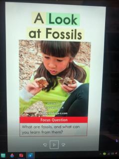 A Look at Fossils