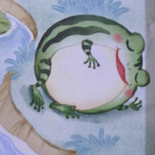 懒青蛙🐸