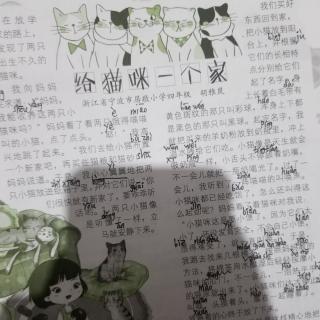 9月26日，星期日，《给猫咪一个家》