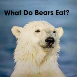 伴鱼绘本 LevelF - What Do Bears Eat？