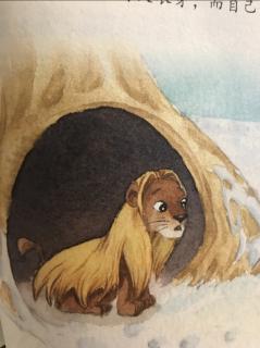 睡前故事1520《长头发狮子》之《最冷的冬天》