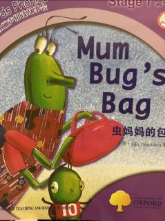 外研社丽声拼读故事会 Mum bug's bag