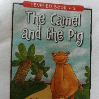 The Camel and the Pig