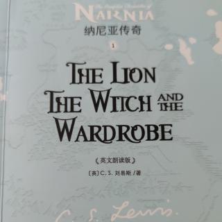 The lion the witch and the wardrobe 9