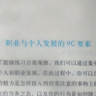 4.6职业与个人发展的9C要素