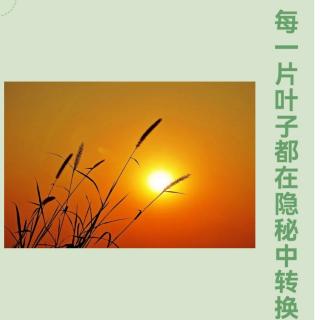 程胜凤：《每一片叶子都在隐秘中转换》—黄昏