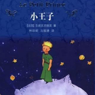 The Little Prince2