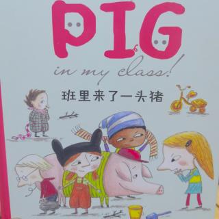 绘本故事分享289：《班里来了一头猪》