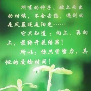 子夜吴歌～秋歌•李白