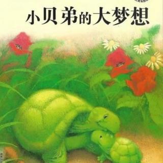 723.慧德之声～小贝第的大梦想