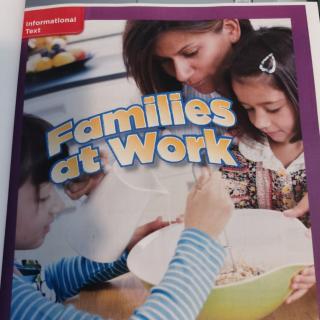 Families at Work--Wonder G2