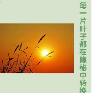 程胜凤：《每一片叶子在隐秘中转换》—转换