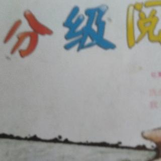 分级阅读4