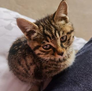 发现向上少儿—李婧琪第二天2021-10-050609主播:向上少儿—李婧琪