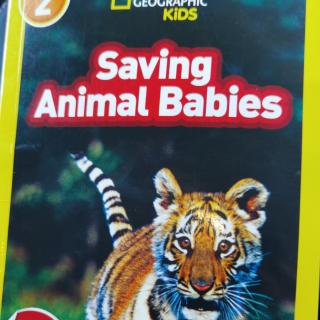saving animal babies 1