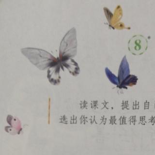 蝴蝶的家_1093_20211005