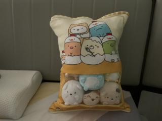 pillowcase1