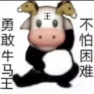 牛昭亚语音第四天