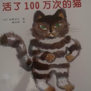 活了100万次的猫