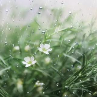 春雨 喻良能