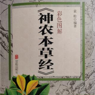 《神农本草经》上品植物篇 菖蒲