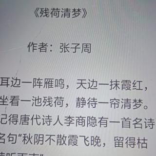 《残荷清梦》