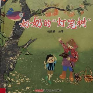 《奶奶的“灯笼树”》——主播苹果姐姐