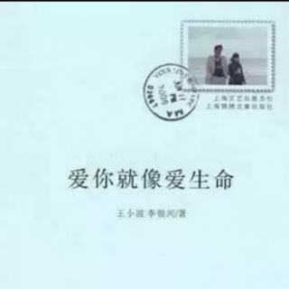 《爱你就像爱生命》王小波情书选一