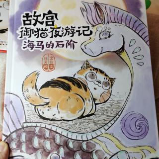 故宫御猫夜游记，海马的石阶