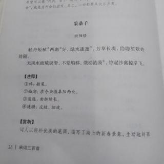 宋词三百首采桑子欧阳修轻舟短棹西湖好