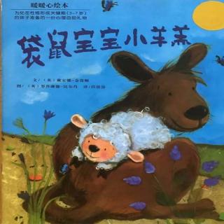 辫豆HABA-晚安故事《袋鼠宝宝小羊羔 》
