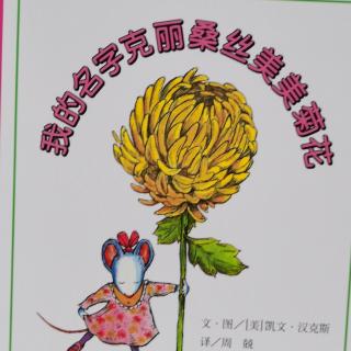 我的名字克里桑丝美美菊花