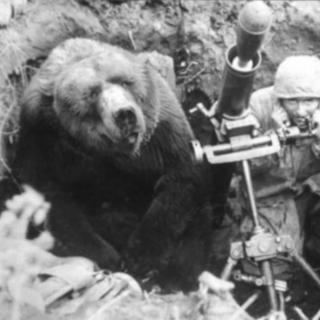 一头参加二战的熊，喜欢抽烟、喝酒、泡妞