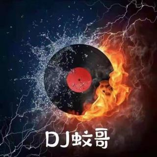DJ蚊哥-全粤语国潮Electro前行&我话事专属车载串烧