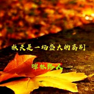 《秋天是一场盛大的离别》碑林路人