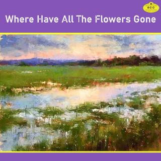 Where Have All The Flowers Gone（那时花开）