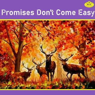 Promises Don't Come Easy（诺言来之不易）