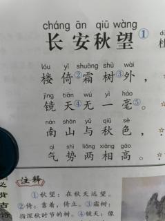 长安秋望 唐 杜牧