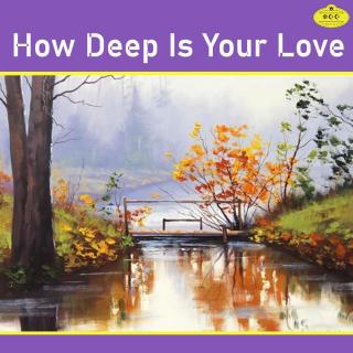 How Deep Is Your Love你的爱有多深